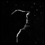 Shadow Cat